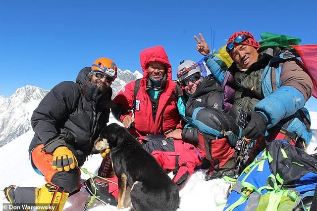 Бездомна собака з Непалу підкорив Гімалаї та встановила світовий рекорд - фото 313483