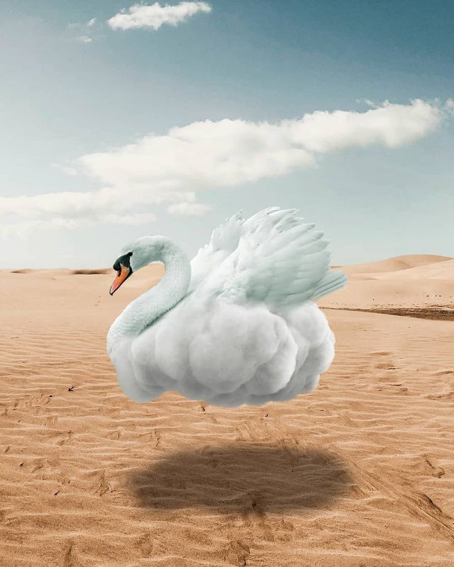 Фантастичні фото юного індонезійця, від яких перехоплює подих - фото 313558