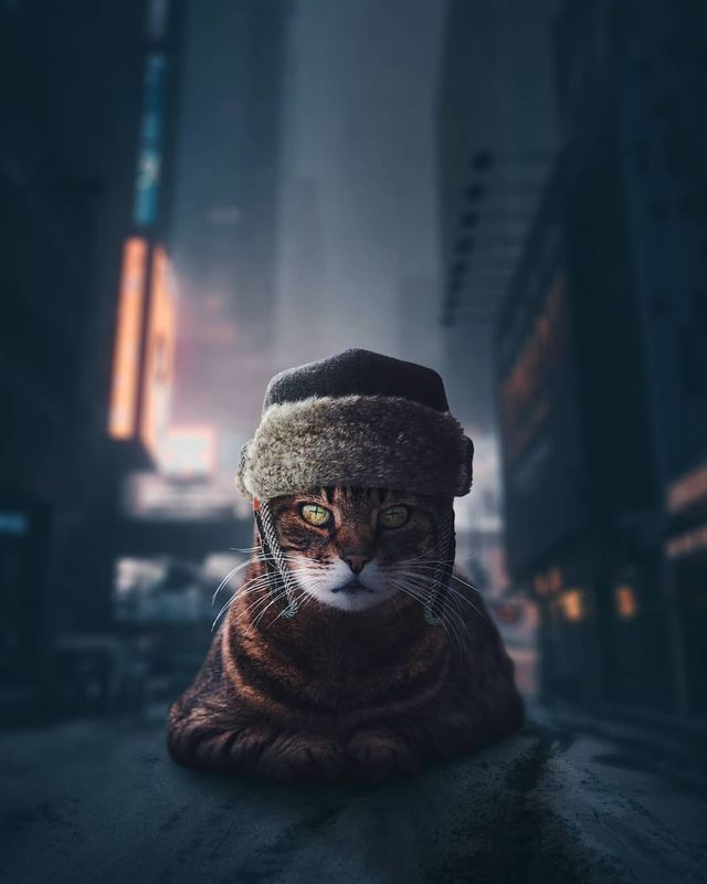 Фантастичні фото юного індонезійця, від яких перехоплює подих - фото 313563