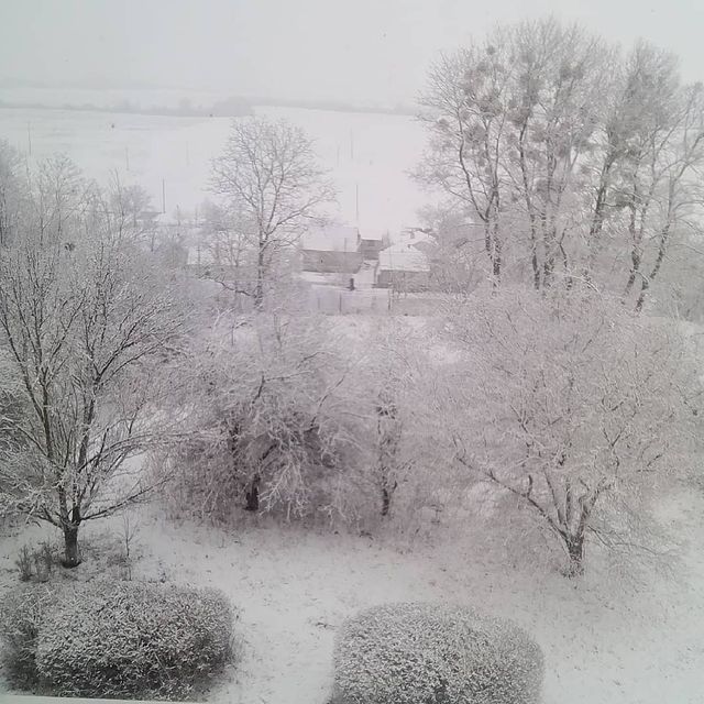 У мережі показали, як Україну замітає снігом - фото 313727