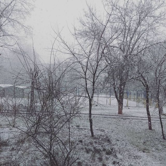 У мережі показали, як Україну замітає снігом - фото 313729