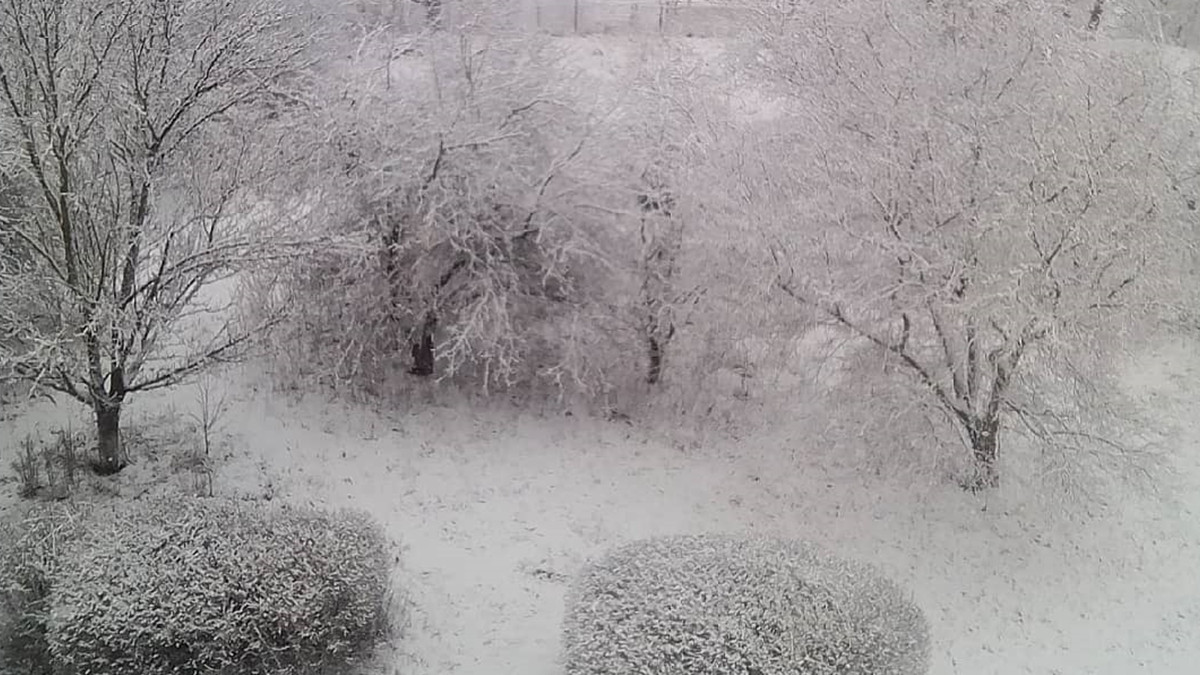 В Україну повернувся сніг - фото 1