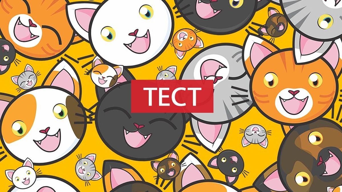 Прикольний тест: Який ти березневий кіт?