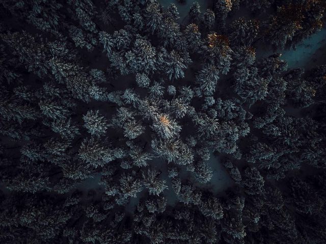 Захоплива краса вечірньої природи у фото Ділана Найта - фото 314068