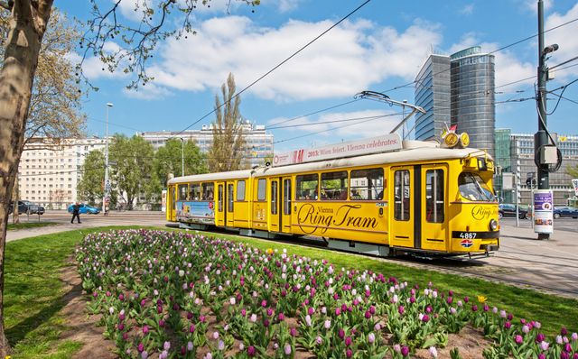 Відень назвали найкомфортнішим містом - фото 314123
