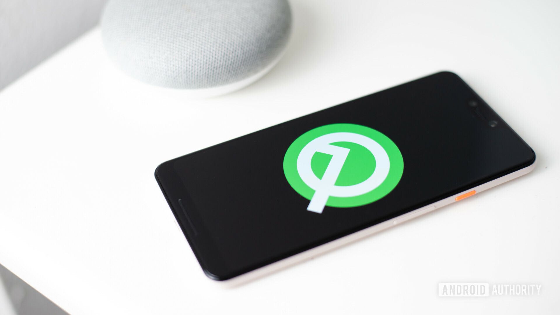 З'явилася бета-версія Android Q, яку можуть завантажити всі власники Google Pixel