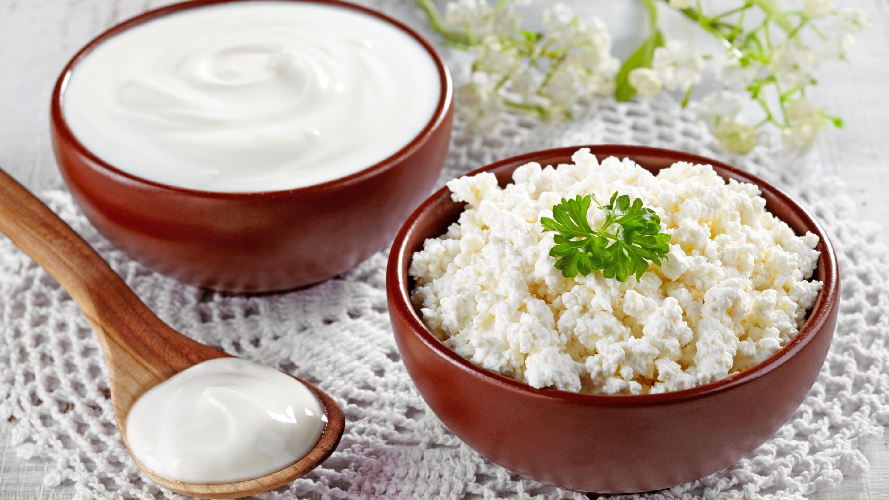 Що буде, якщо їсти сир і сметану кожен день