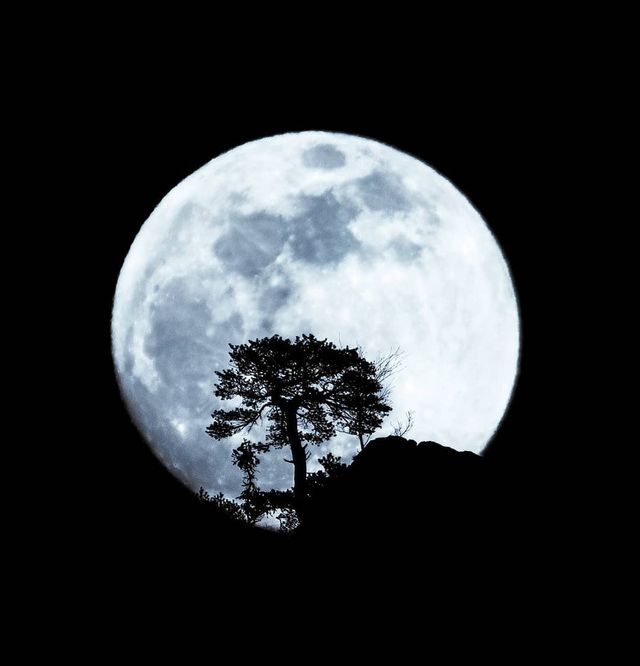 Там, де нас нема: ефектні мандри світом від Андрі Лаукаса - фото 315536