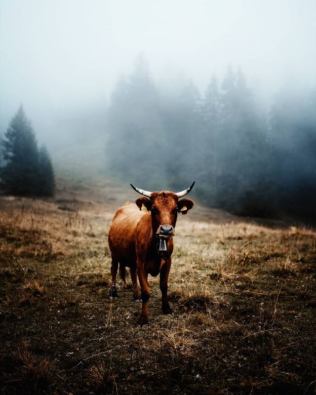 Там, де нас нема: ефектні мандри світом від Андрі Лаукаса - фото 315539