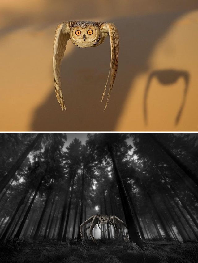 Епічний фотошоп: 20 кумедних кадрів - фото 315646