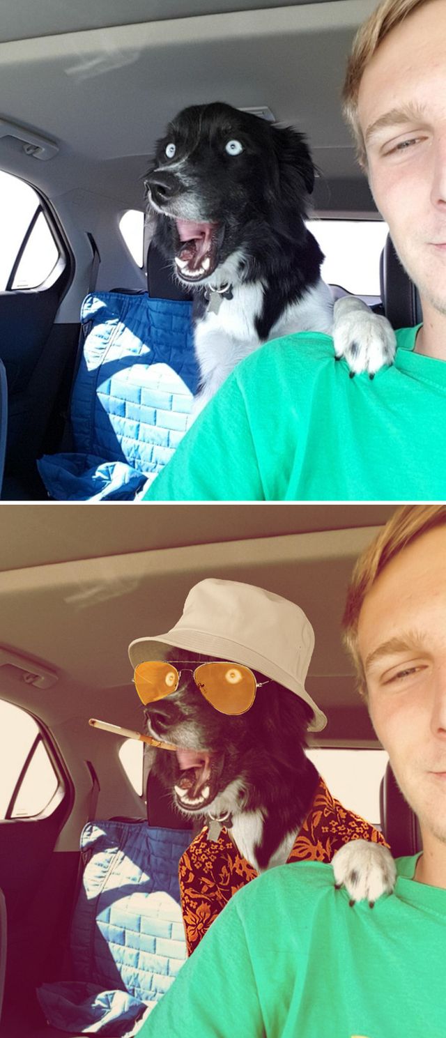 Епічний фотошоп: 20 кумедних кадрів - фото 315658