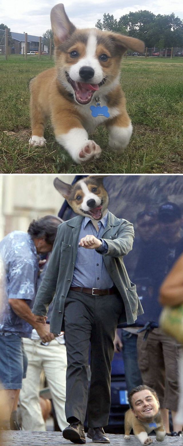 Епічний фотошоп: 20 кумедних кадрів - фото 315659