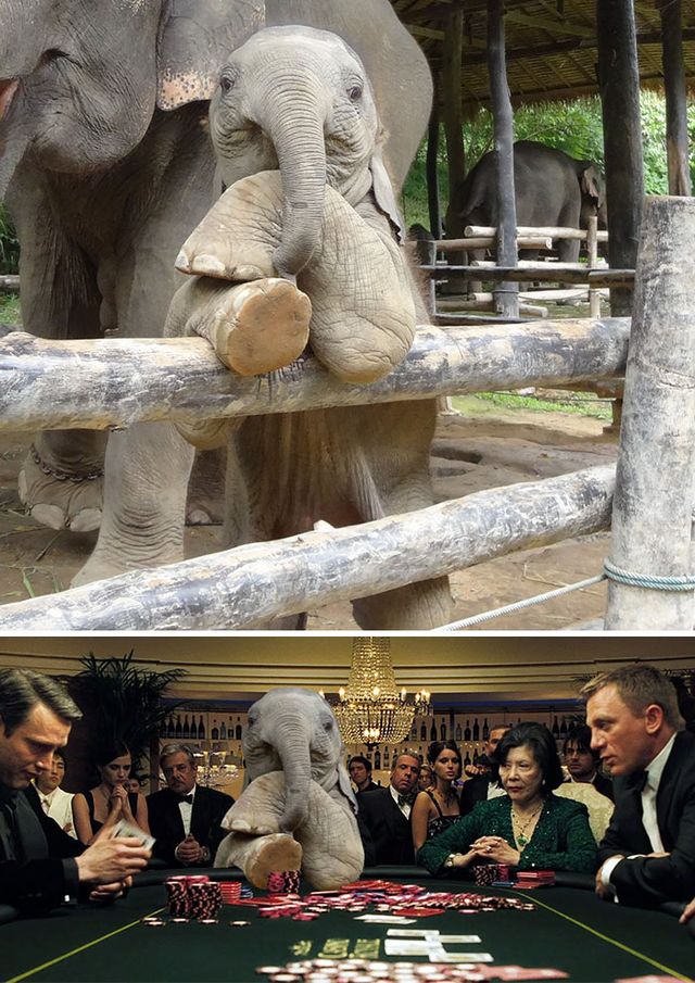 Епічний фотошоп: 20 кумедних кадрів - фото 315666