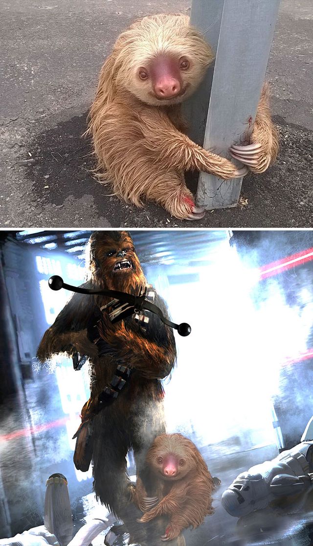 Епічний фотошоп: 20 кумедних кадрів - фото 315668