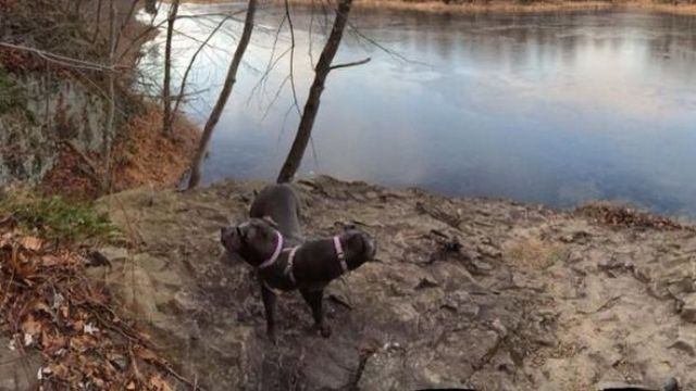 Щось пішло не так: 15 дивних панорамних фото - фото 315827