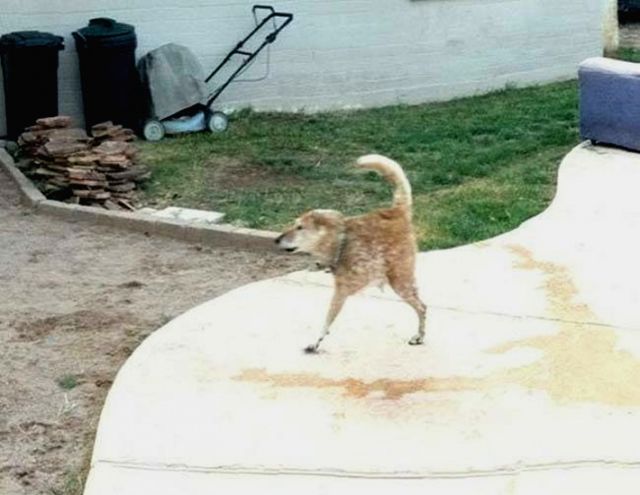 Щось пішло не так: 15 дивних панорамних фото - фото 315828