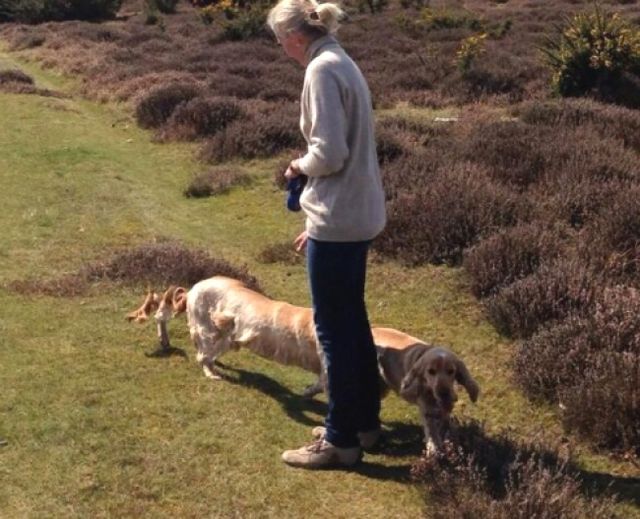 Щось пішло не так: 15 дивних панорамних фото - фото 315832