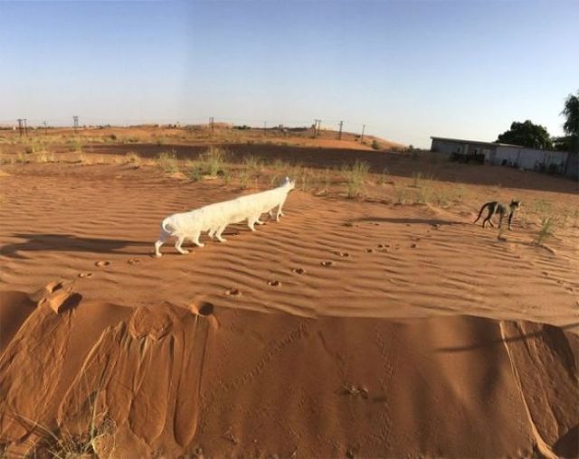 Щось пішло не так: 15 дивних панорамних фото - фото 315834