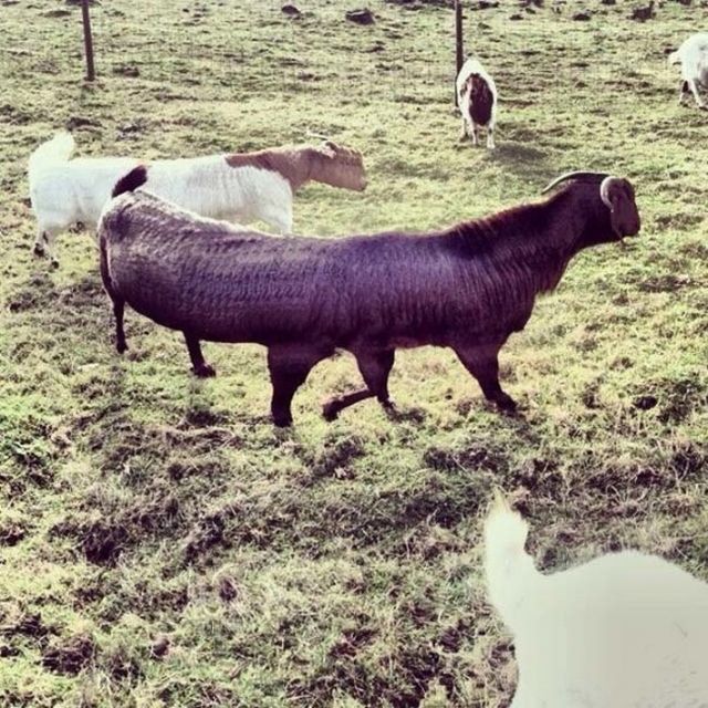 Щось пішло не так: 15 дивних панорамних фото - фото 315837