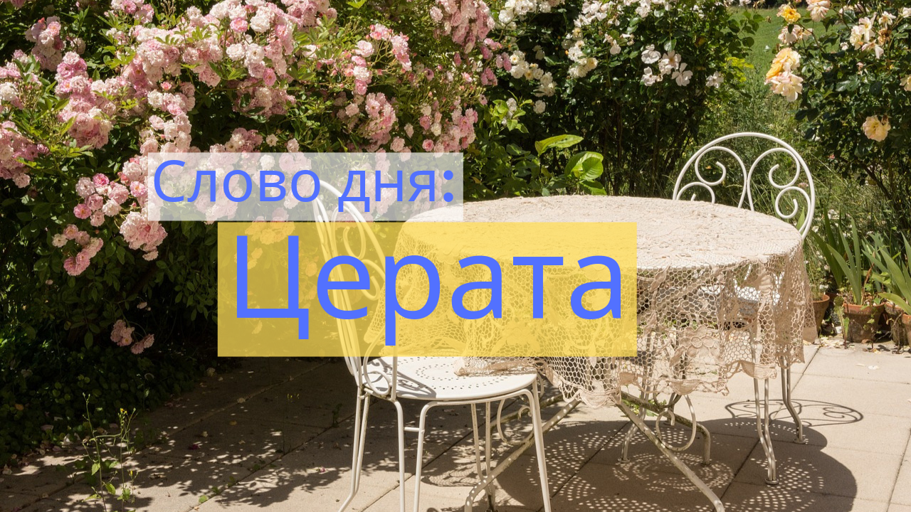 Слово дня: ЦЕРАТА