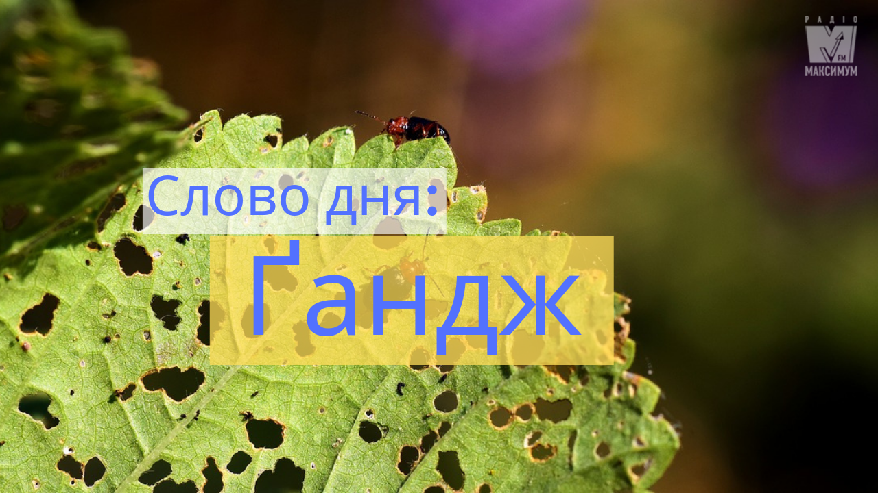 Слово дня: ҐАНДЖ