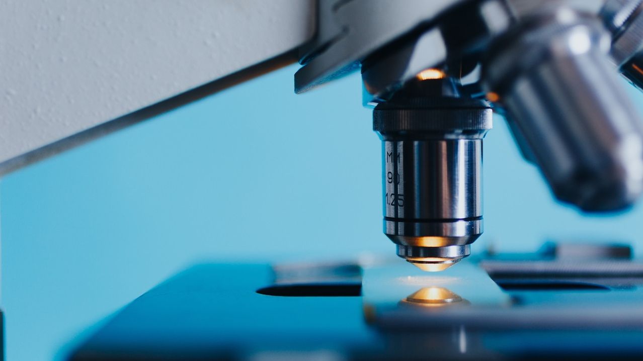 Вони поруч: фотограф шокує своїми знімками через мікроскоп