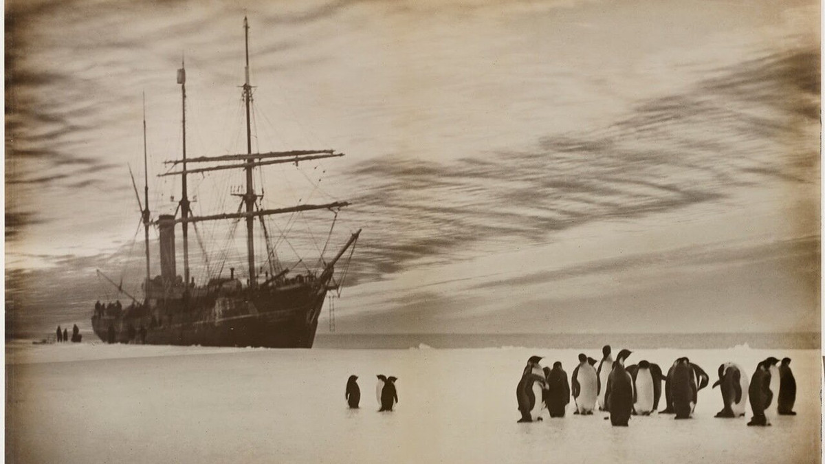 Дослідники мали намір вперше перетнути пішки Південний полюс - фото 1