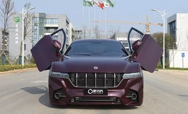 Прототип компанії Wuhan Grove Hydrogen Automobile Co. - фото 316551