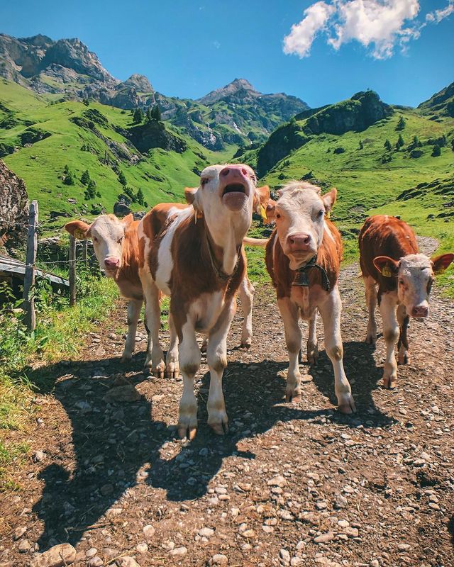 Захопливі подорожі Європою, від яких перехоплює дух: фото - фото 316658