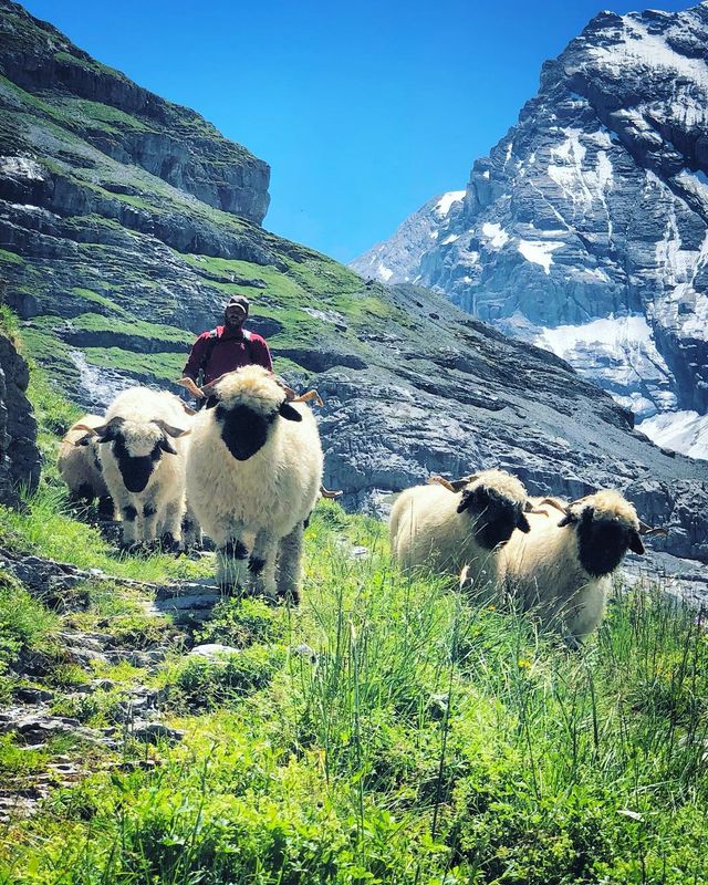 Захопливі подорожі Європою, від яких перехоплює дух: фото - фото 316662
