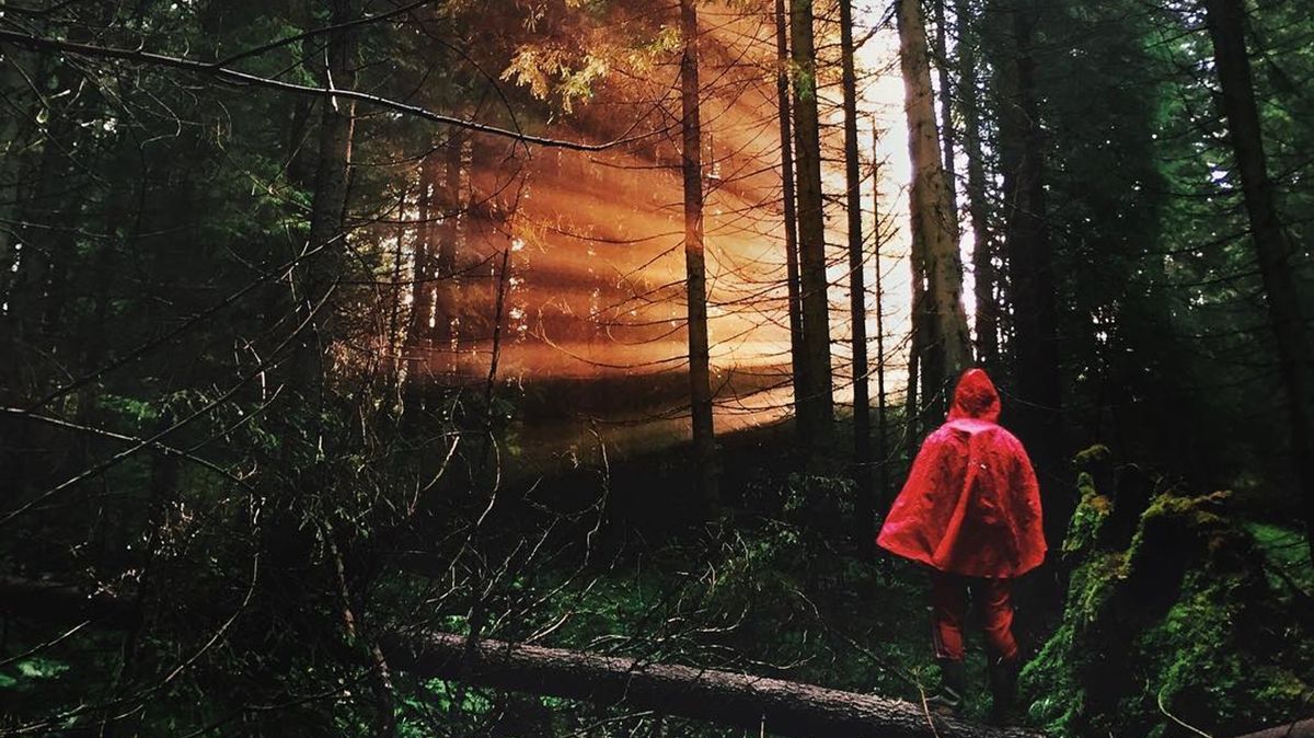 Мальовничі Карпати - фото 1