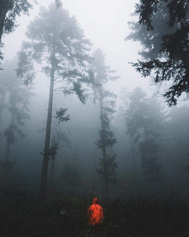 Неймовірно красиві Карпати у знімках українського фотографа - фото 316798