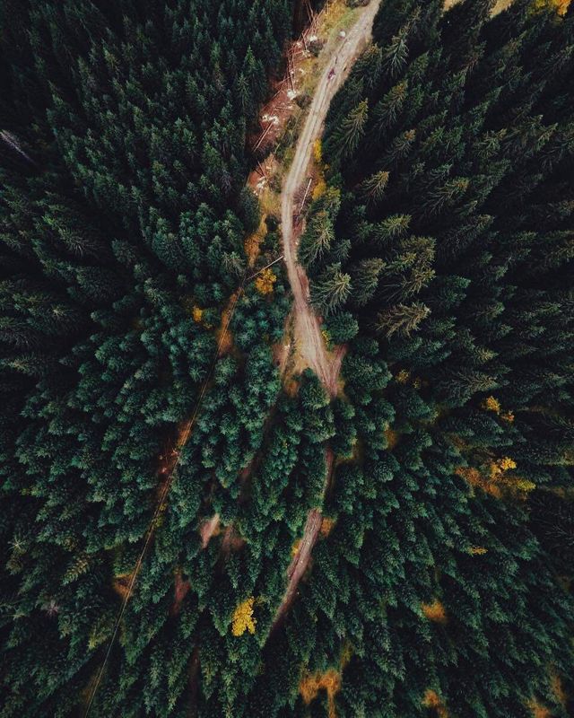 Неймовірно красиві Карпати у знімках українського фотографа - фото 316801