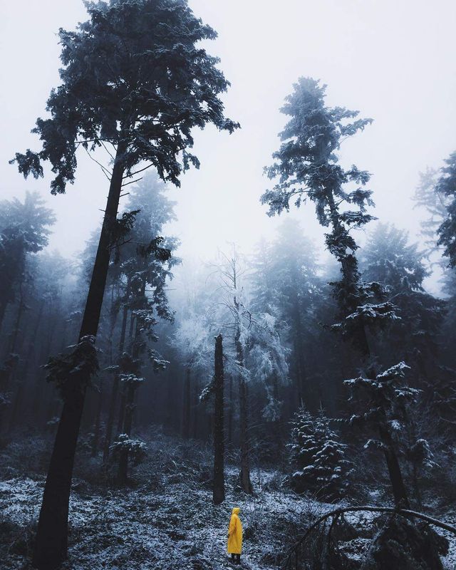 Неймовірно красиві Карпати у знімках українського фотографа - фото 316804