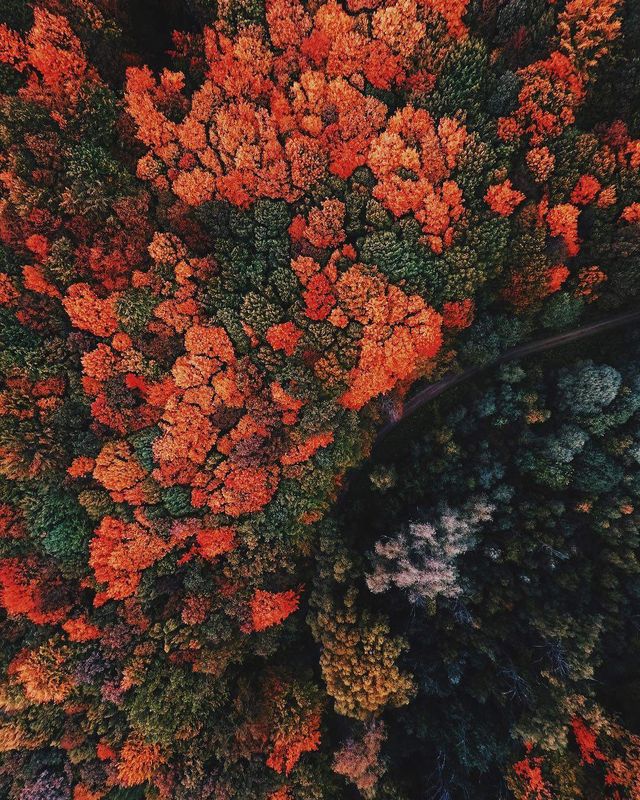 Неймовірно красиві Карпати у знімках українського фотографа - фото 316806