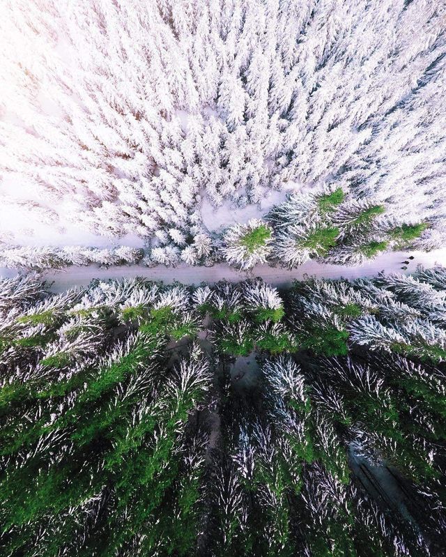 Неймовірно красиві Карпати у знімках українського фотографа - фото 316807