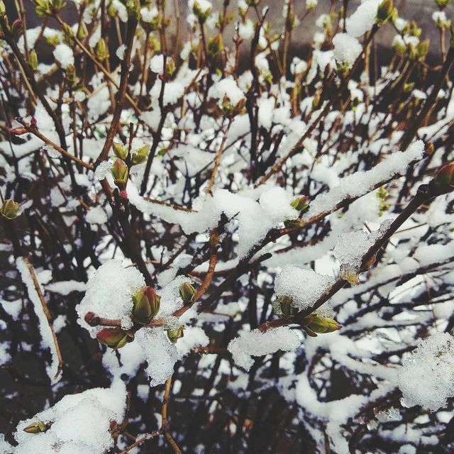 @risa_dr_ - фото 317123