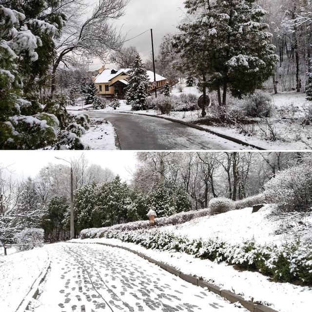 @skazochnik_art- фото 317124