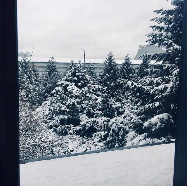 @nadia.buta - фото 317125