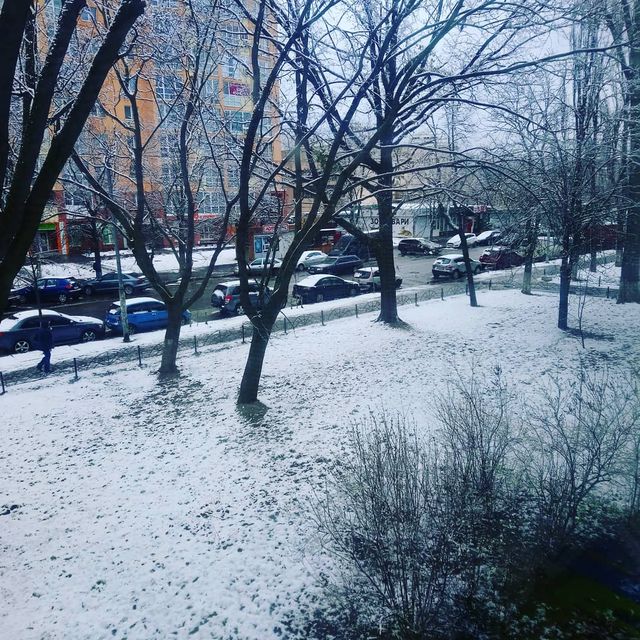 @ilchenko_yevgeniya - фото 317126