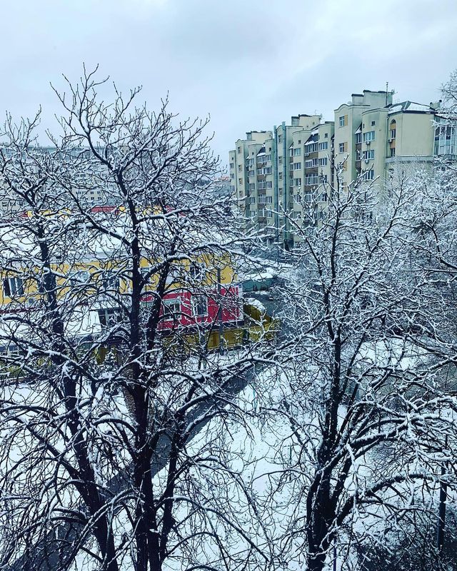 @shyshygina_kateryna - фото 317127