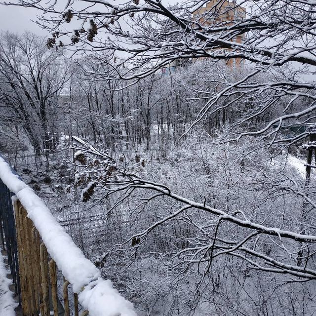 @osik_kalenska - фото 317128