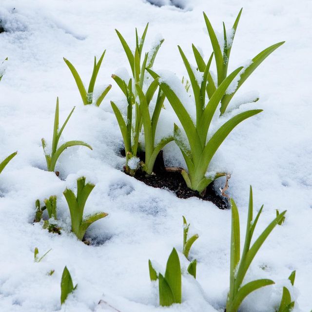 @postgardner - фото 317132