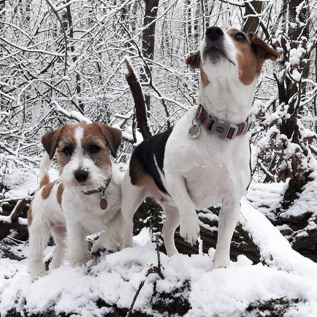 @nata___ignatenko - фото 317134