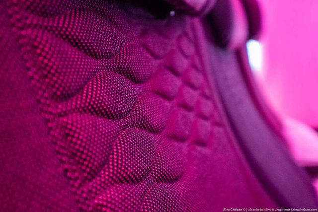 Так виглядає найкомфортніший економ-клас у літаку - фото 317293