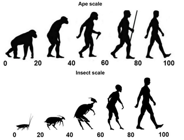 Як автомобілісти ставляться до велосипедистів: цікаве дослідження - фото 317451