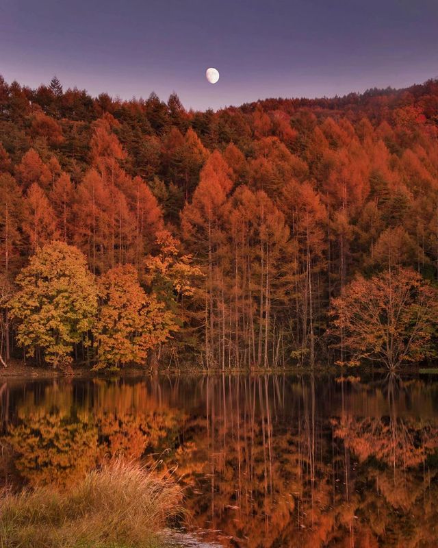 Японія, від якої важко відвести погляд: яскраві фото - фото 317569