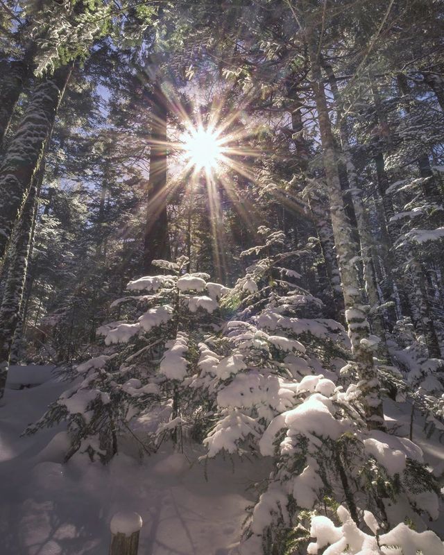 Японія, від якої важко відвести погляд: яскраві фото - фото 317570