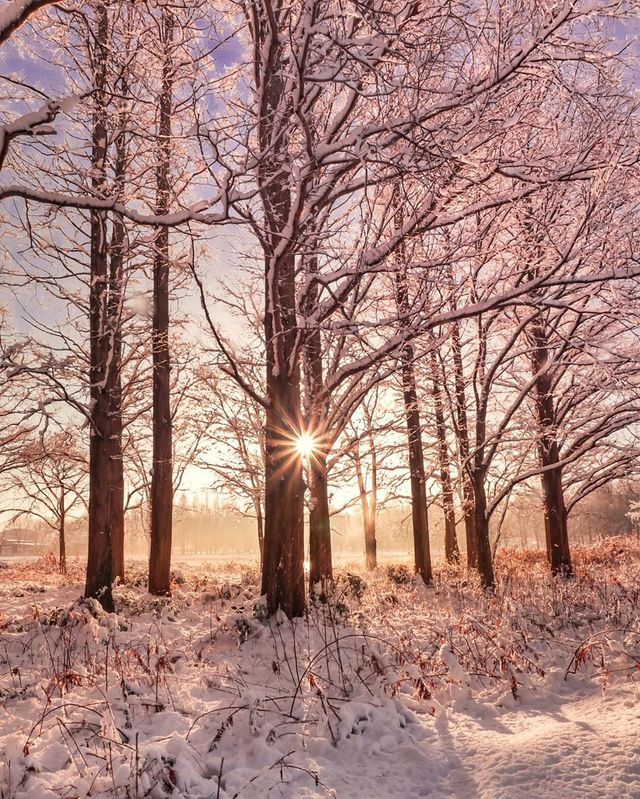 Японія, від якої важко відвести погляд: яскраві фото - фото 317574
