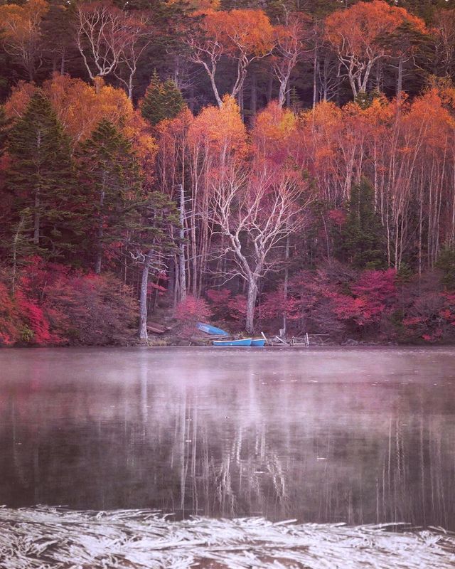 Японія, від якої важко відвести погляд: яскраві фото - фото 317576